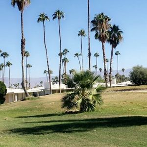 Meet your Posher, Cosima